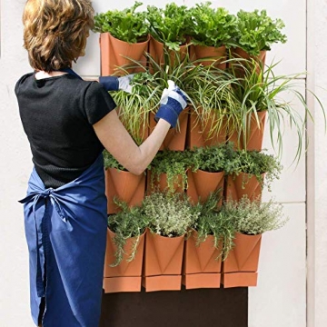 bluegreenshop.de Urban Gardening/Wandbegrünung: Vertical Garden Wall 16er Komplett-Set anthrazit - 5